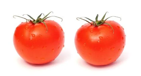 Tomato isolated Stock Photos