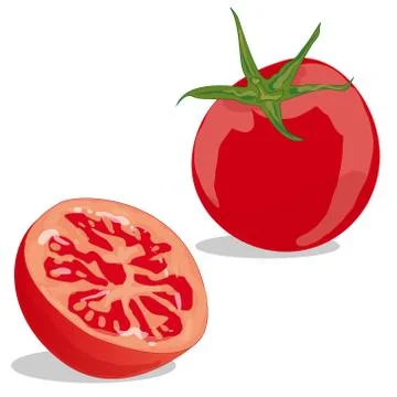 Tomato isolated on white background Stock Illustration