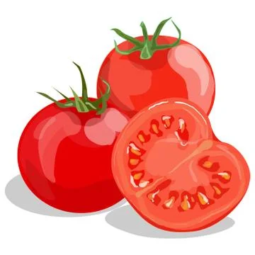 Tomato isolated on white background Stock Illustration