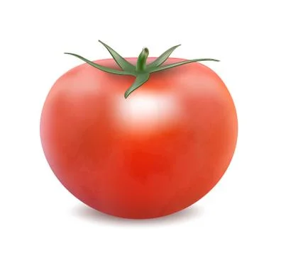 Tomato isolated on the white background Illustrazione stock