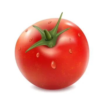 Tomato isolated on the white background Illustrazione stock