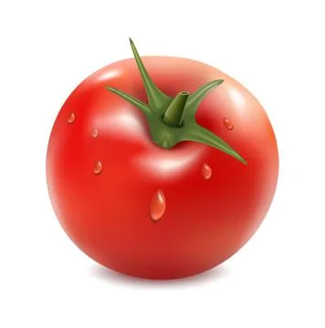 Tomato isolated on the white background Stock Illustration