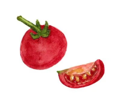 Tomato isolated on a white background. Stock Illustration