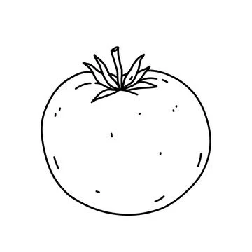 Tomato isolated on white background Stock Illustration