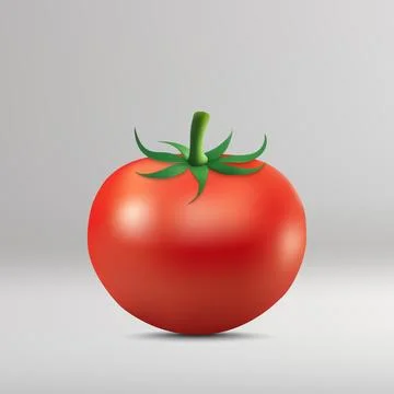 Tomato isolated on white background. 스톡 일러스트