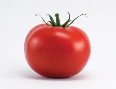 Tomato isolated on white background Stock Photos