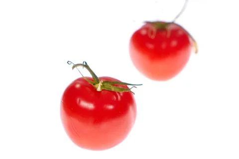 Tomato isolated on white background Stock Photos