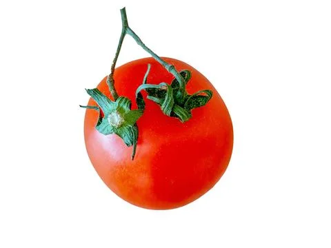Tomato isolated on white background Stock Photos