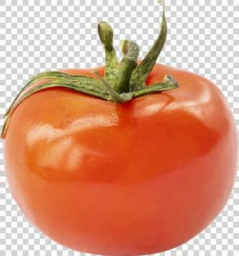 Tomato Isolated on a White Background Stock Photos