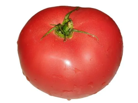Tomato isolated on white background Stock Photos