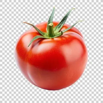 Tomato-isolated-on-white-background Stock Photos