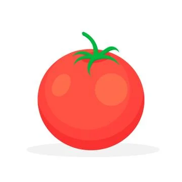 Tomato isolated on white background. Vector illustration. Stock Illustration