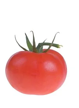 Tomato isolated on white Stock Photos