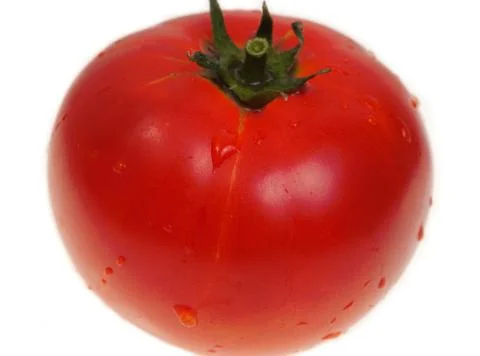 Tomato isolated on white Stock Photos