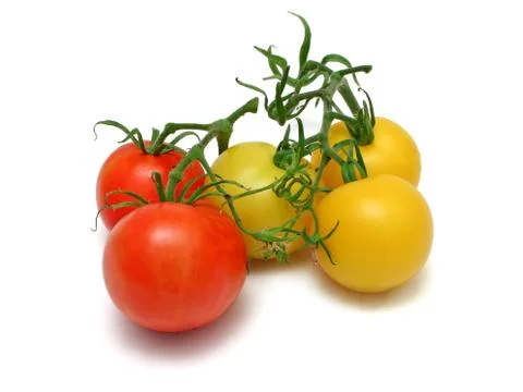 Tomato kinds Stock Photos