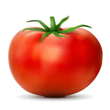 Tomato with leaves close up Stock Illustration