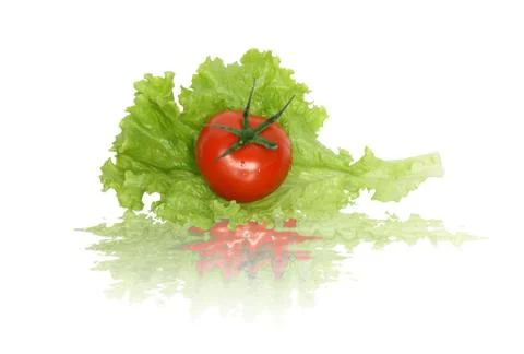 Tomato on lettuce Stock Photos