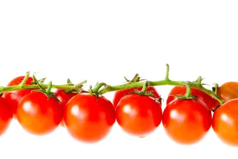 Tomato line Stock Photos