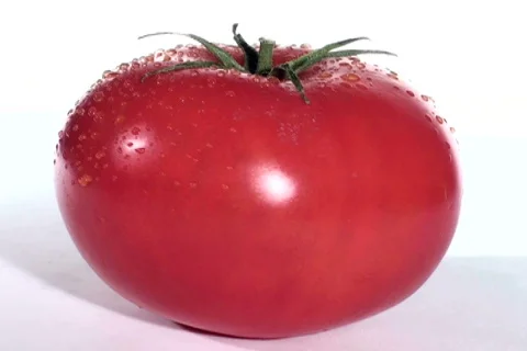 Tomato loop V1 - NTSC Stock Footage 686123