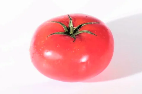 Tomato loop V4 - NTSC Stock Footage 686119