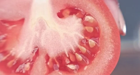 Tomato. Macro. Stock Footage 80245574