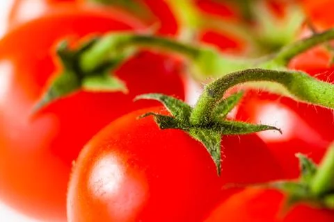 Tomato macro Stock Photos