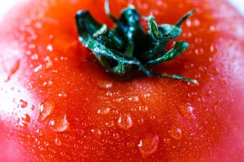 Tomato, macro Stock-Fotos