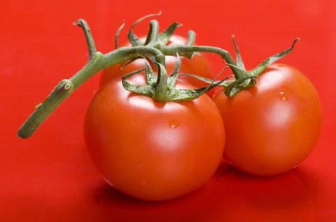 Tomato macro on red background Foto stock