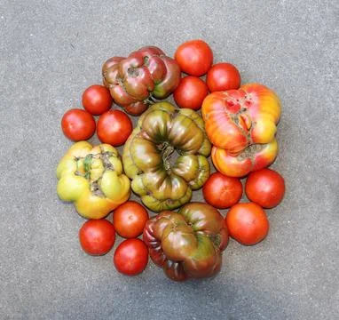 Tomato - Mix Foto stock