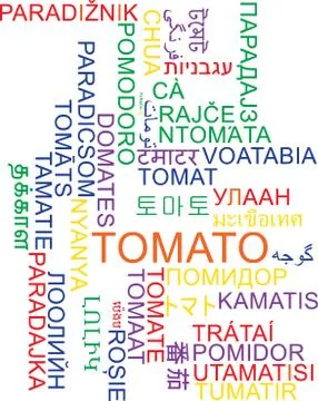 Tomato multilanguage wordcloud background concept Stock Illustration