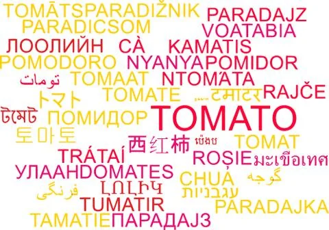 Tomato multilanguage wordcloud background concept Stock Illustration