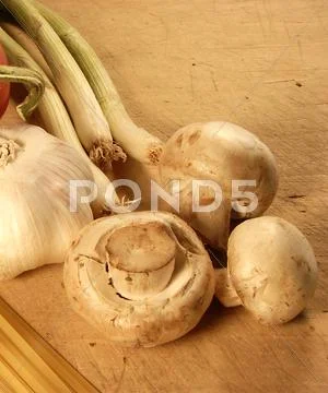 Tomato mushroom pasta Stock Photos