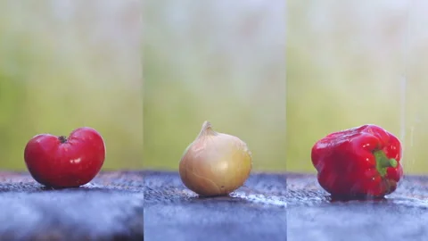 Tomato, onion and pepper on a table in the garden, vertical video collage. Stock Footage 114575314