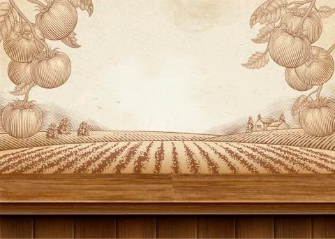 Tomato orchard background Stockillustratie