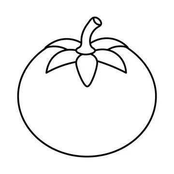 Tomato Outline Vector Illustration Stock Illustration