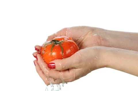Tomato in palms Foto stock