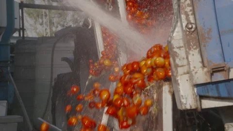 Tomato paste factory Stock Footage 237423307