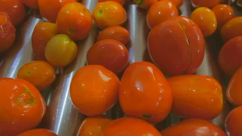 Tomato paste factory3 Stock Footage 237431782