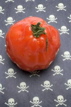 Tomato on a patterned background (skulls and crossbones) Stock Photos