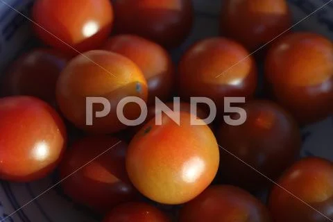 Tomato Stock Photos