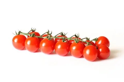 Tomato Stock Photos