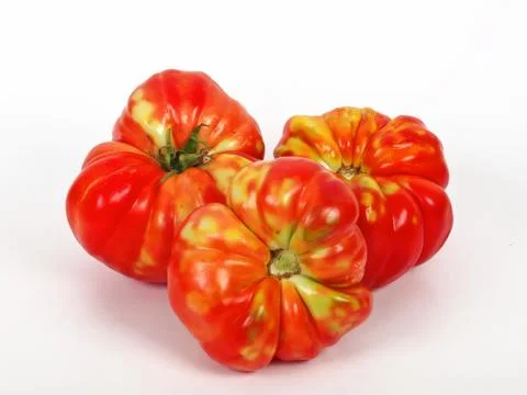 Tomato Stock Photos