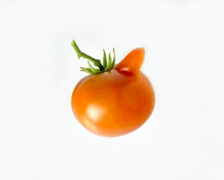 A tomato Stock Photos