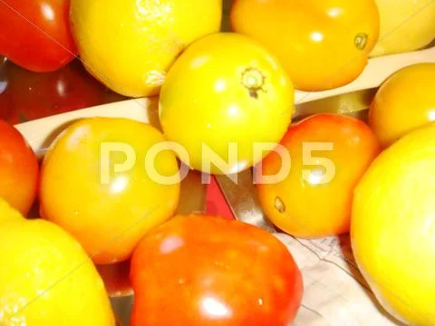Tomato Stock Photos
