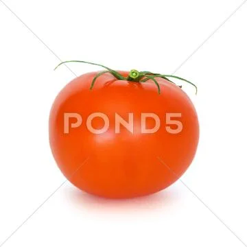 Tomato Stock Photos