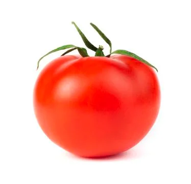 Tomato Stock Photos