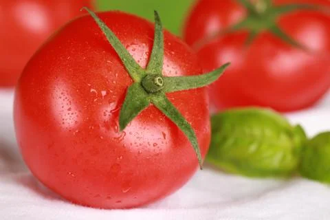 Tomato Stock Photos