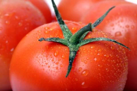 Tomato Stock Photos