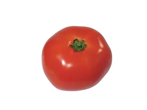 Tomato Stock Photos