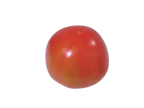Tomato Fotos Stock